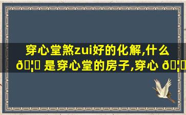 穿心堂煞zui
好的化解,什么 🦊 是穿心堂的房子,穿心 🦊 堂的房好吗